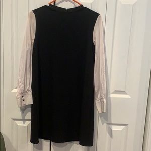 Zara two tone dress